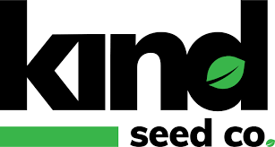 Discovering the World of Marijuana Seeds Maryland Discovering the World of Marijuana Seeds Maryland